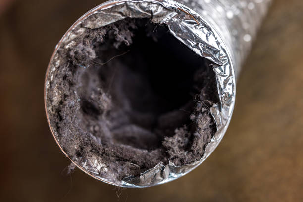 Best Affordable Duct Cleaning Services  in Liberty City, TX